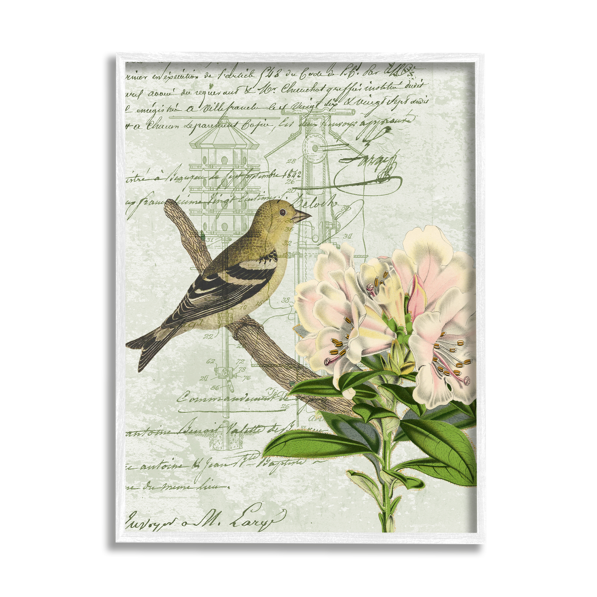 Stupell Industries Bird House Vintage Patent Lily Floral American Goldfinch, 16 x 20, Design by Daphne Polselli
