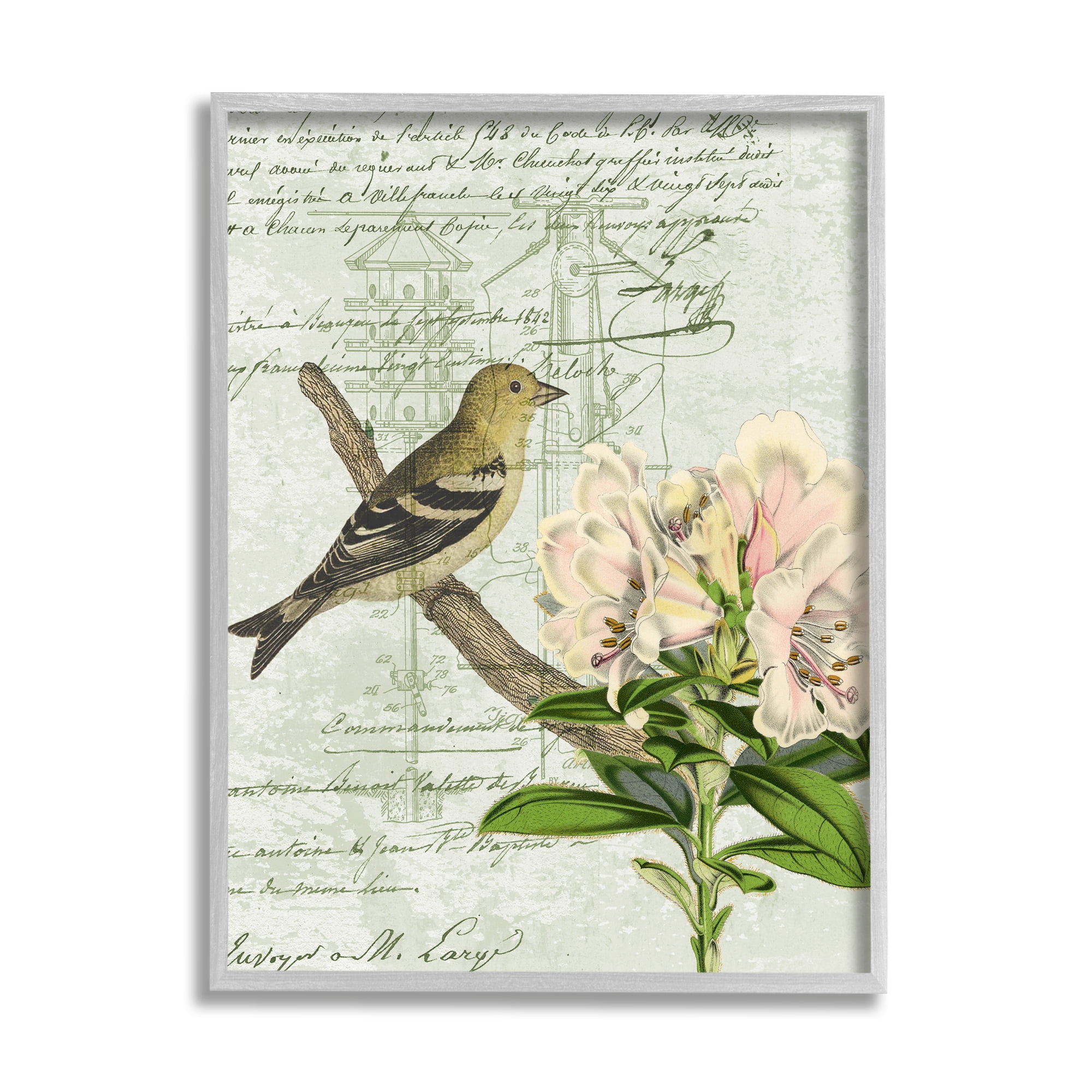 Stupell Industries Bird House Vintage Patent Lily Floral American Goldfinch, 16 x 20, Design by Daphne Polselli