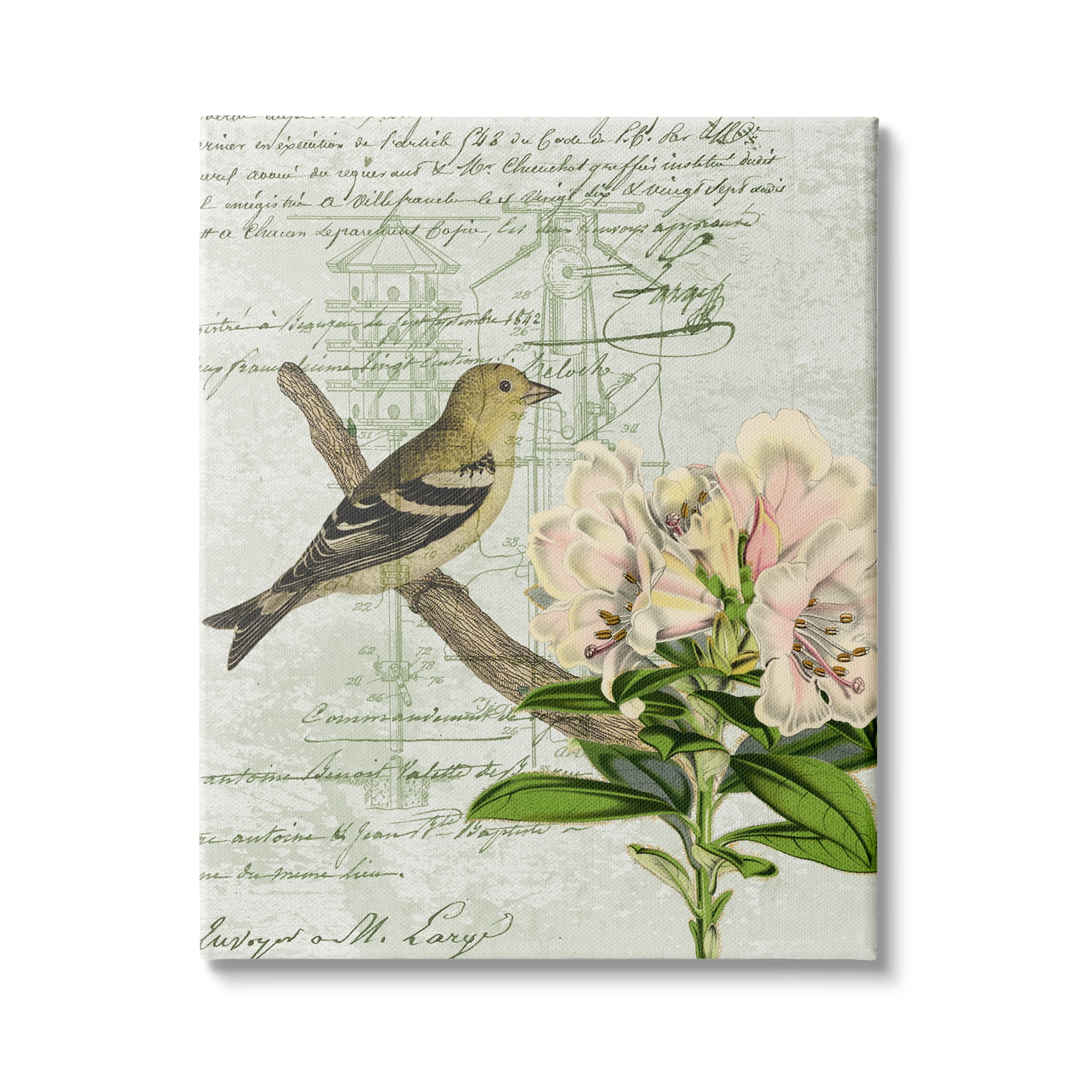 Stupell Industries Bird House Vintage Patent Lily Floral American Goldfinch, 30 x 40, Design by Daphne Polselli