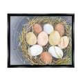 thumbnail image 1 of Stupell Industries Bird Nest Eggs Nature Painting Animals & Insects Painting Black Floater Framed Art Print Wall Art, 1 of 6