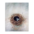 thumbnail image 1 of Stupell Industries Rustic Lodge Bird Nest Triplets Canvas Art, 36 x 48, by Mary Sparrow, 1 of 7