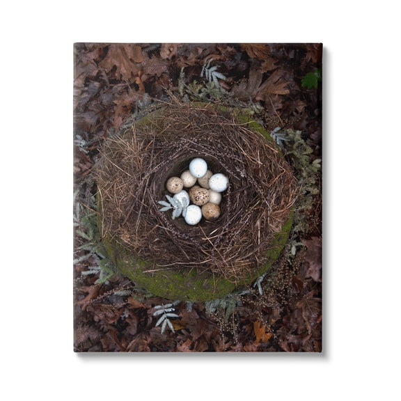 Stupell Industries Bird Nest Wildlife Forest Nature Speckled Eggs Photograph Gallery Wrapped Canvas Print Wall Art, Design by Tania Soderman