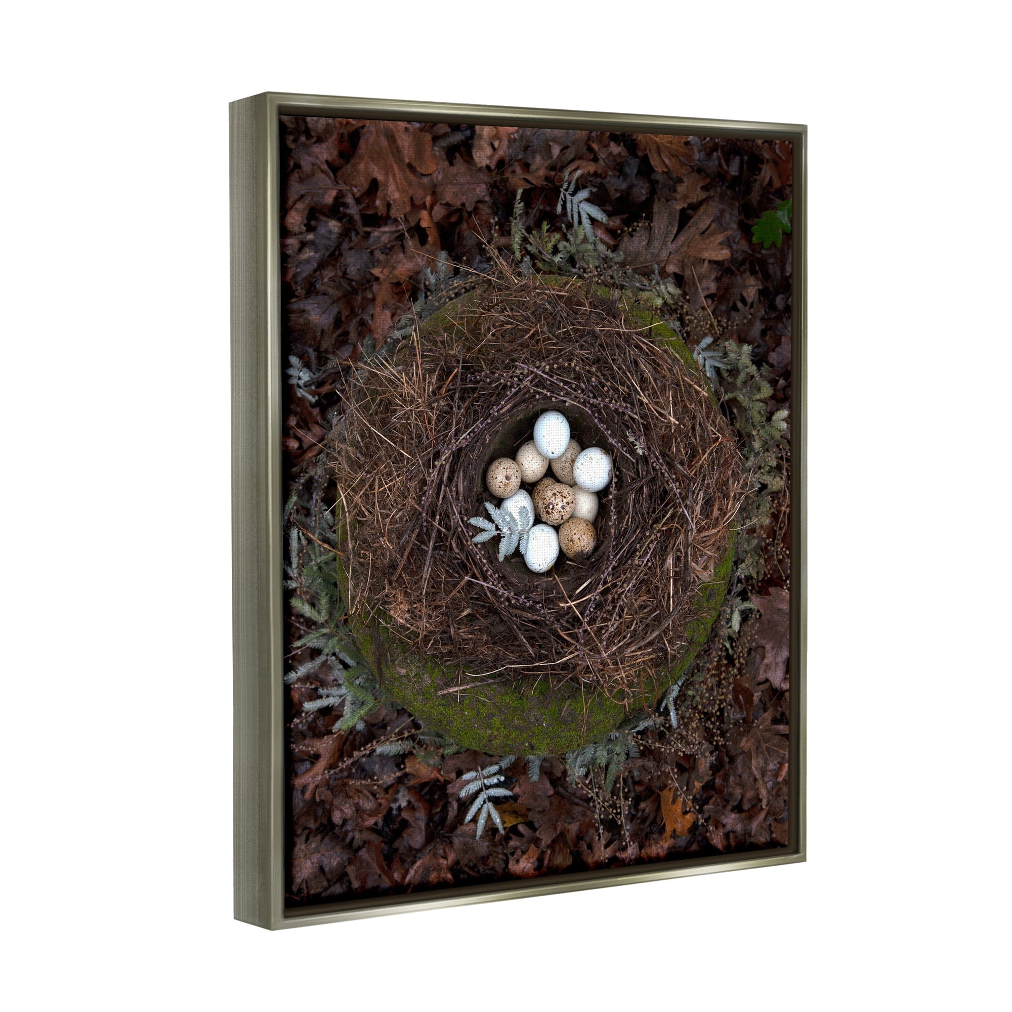 Stupell Industries Bird Nest Wildlife Forest Nature Speckled Eggs Photograph Luster Gray Floating Framed Canvas Print Wall Art, Design by Tania Soderman