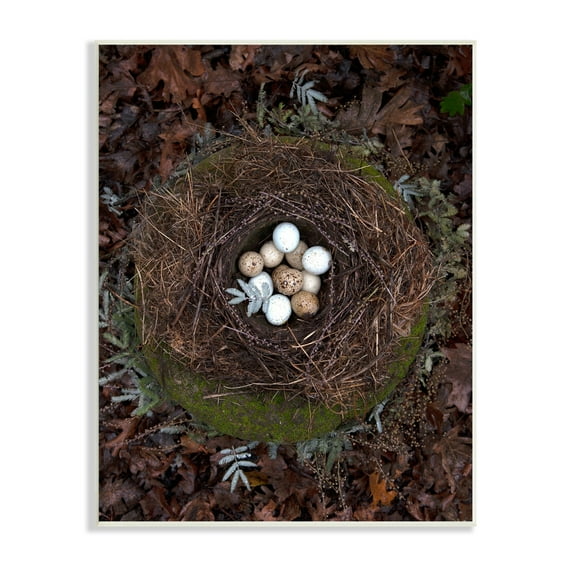 Stupell Industries Bird Nest Wildlife Forest Nature Speckled Eggs Photograph Unframed Art Print Wall Art, Design by Tania Soderman