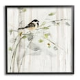 thumbnail image 1 of Stupell Industries Bird Perched Birch Pattern Animals & Insects Painting Black Framed Art Print Wall Art, 1 of 7