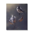 thumbnail image 1 of Stupell Industries Bird Perched Floral Seed Pods Animals & Insects Painting Gallery Wrapped Canvas Print Wall Art, 1 of 5