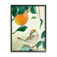 thumbnail image 1 of Stupell Industries Bird Perched Orange Fruit Tree Branch Leaves Painting Black Framed Art Print Wall Art, Design by Robin Maria, 1 of 7
