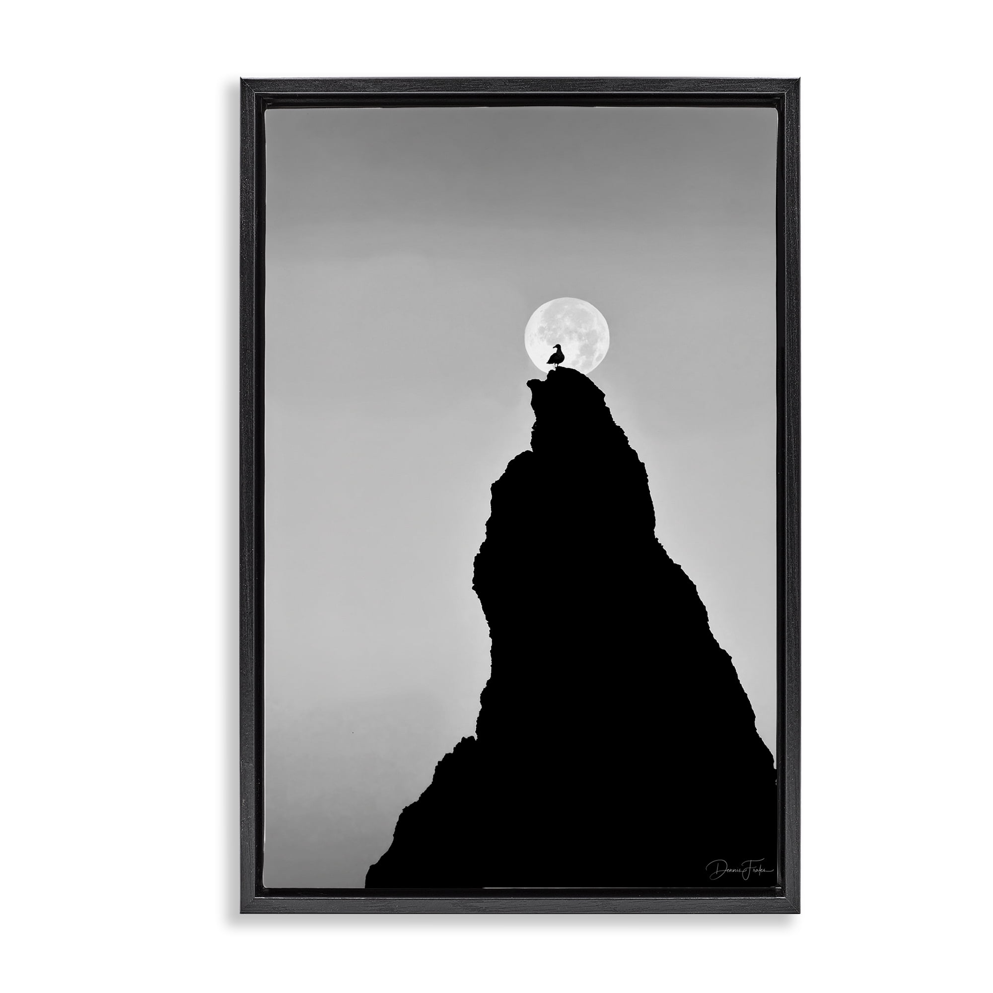 Stupell Industries Bird Silhouette on Peak Landscape Photography Black Floater Framed Art Print Wall Art, 21 x 31