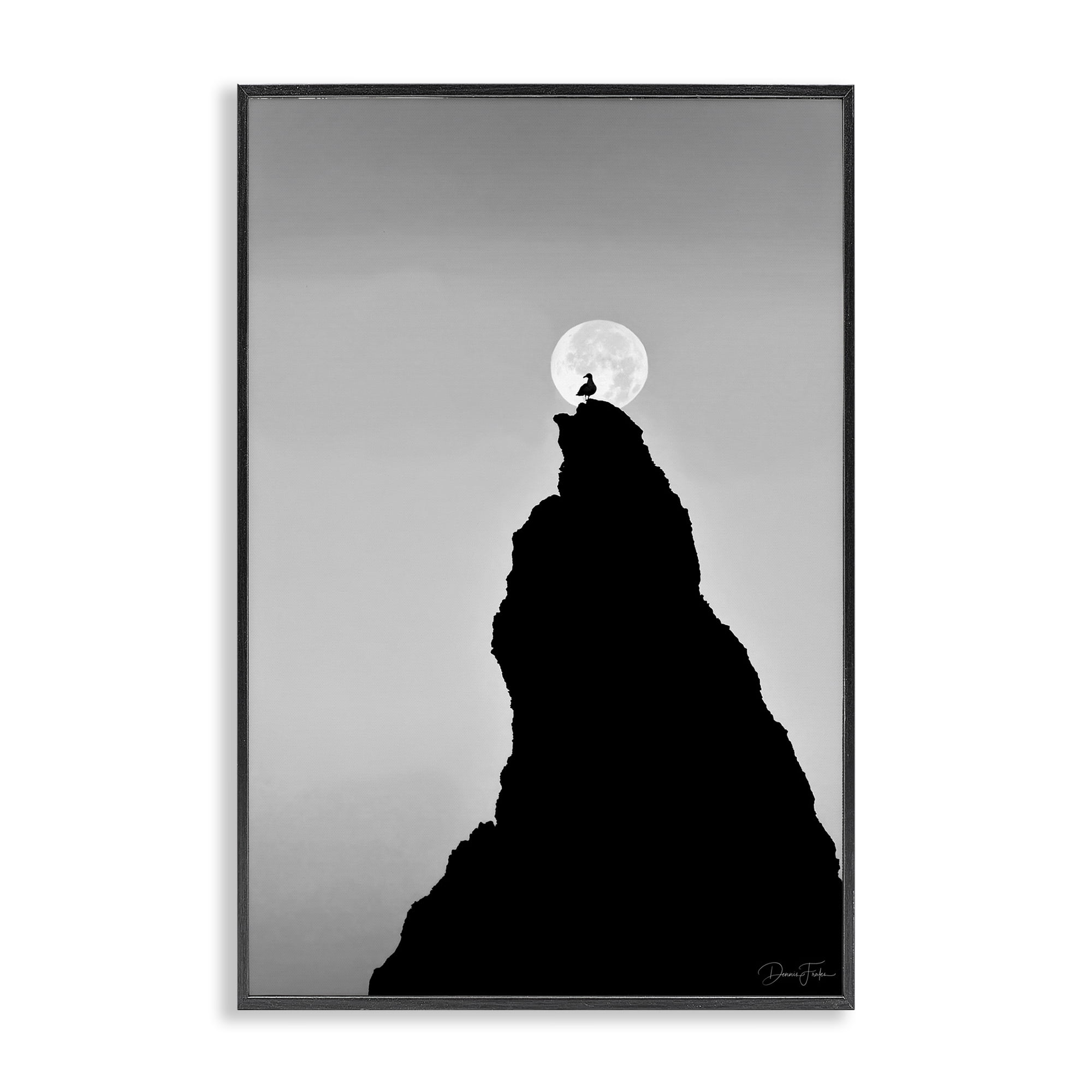 Stupell Industries Bird Silhouette on Peak Landscape Photography Black Framed Art Print Wall Art, 12 x 18