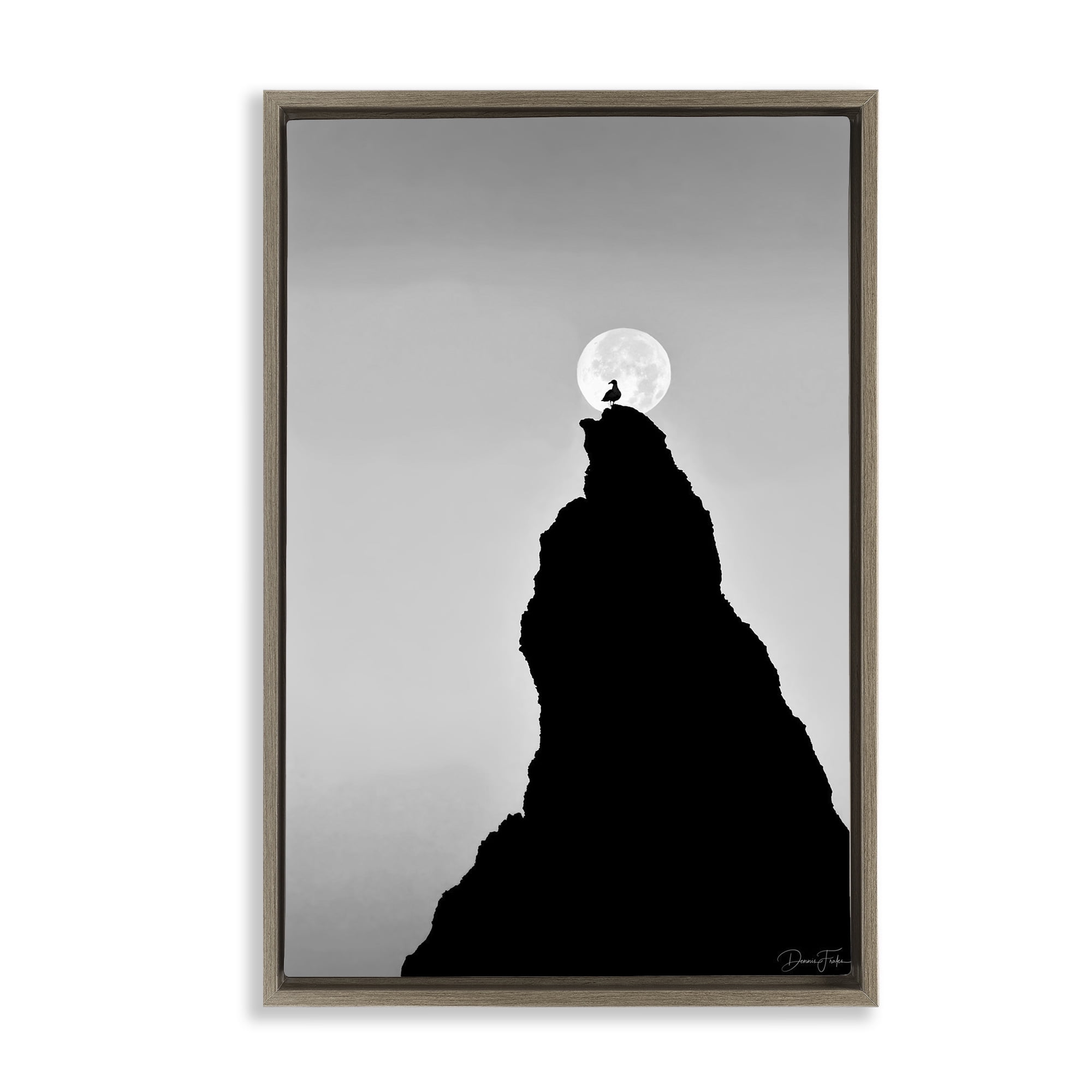 Stupell Industries Bird Silhouette on Peak Landscape Photography Brown Floater Framed Art Print Wall Art, 21 x 31