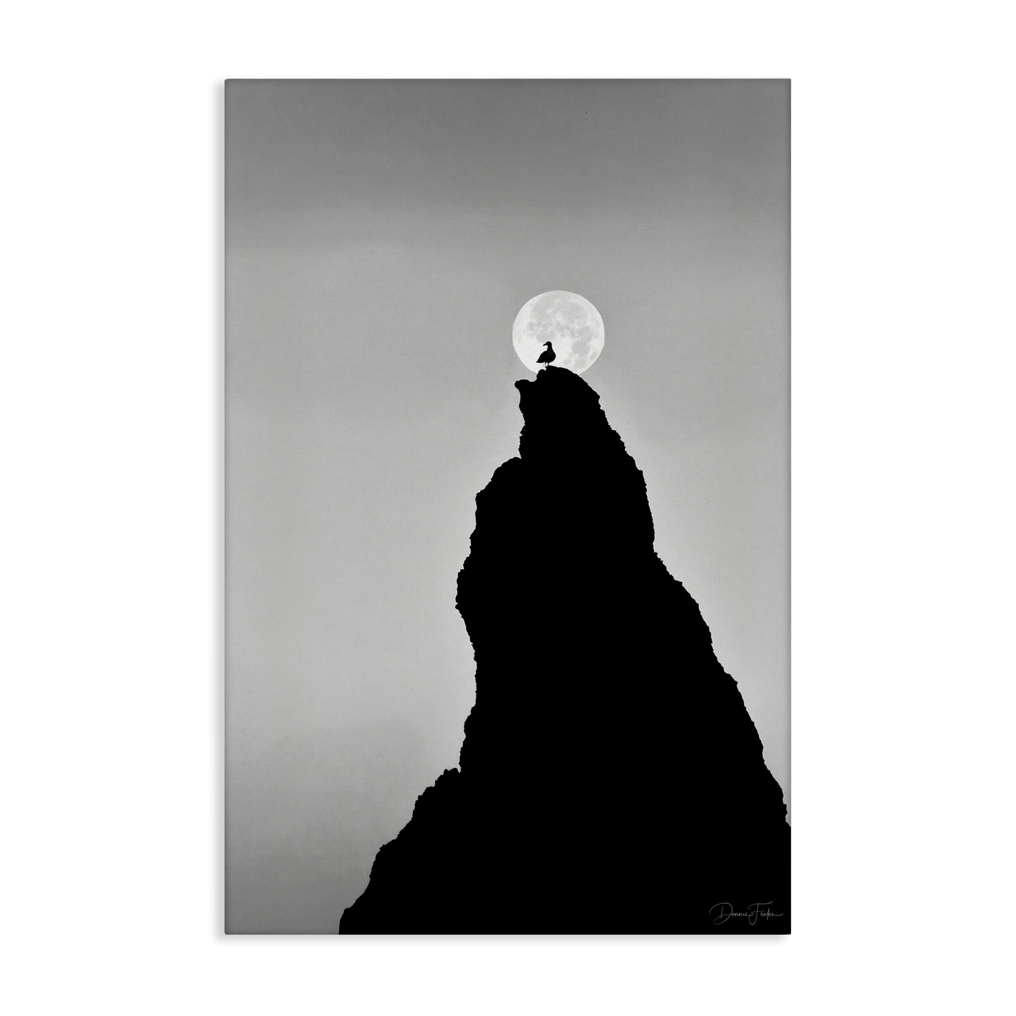 Stupell Industries Bird Silhouette on Peak Landscape Photography Gallery Wrapped Canvas Art Print Wall Art, 16 x 24