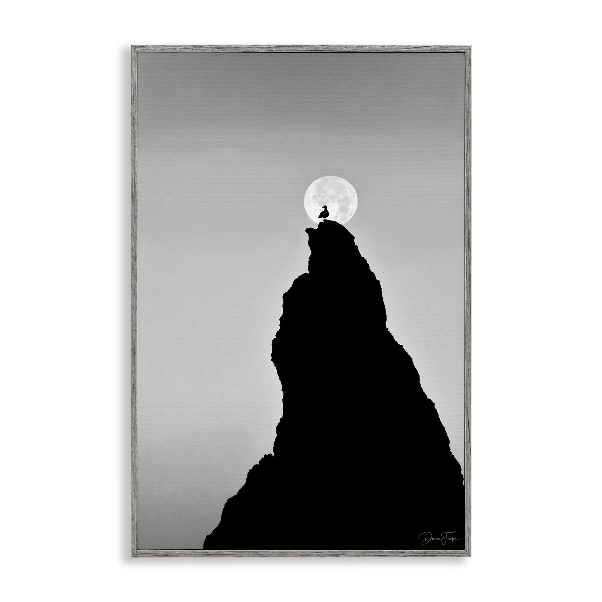 Stupell Industries Bird Silhouette on Peak Landscape Photography Gray Framed Art Print Wall Art, 16 x 24