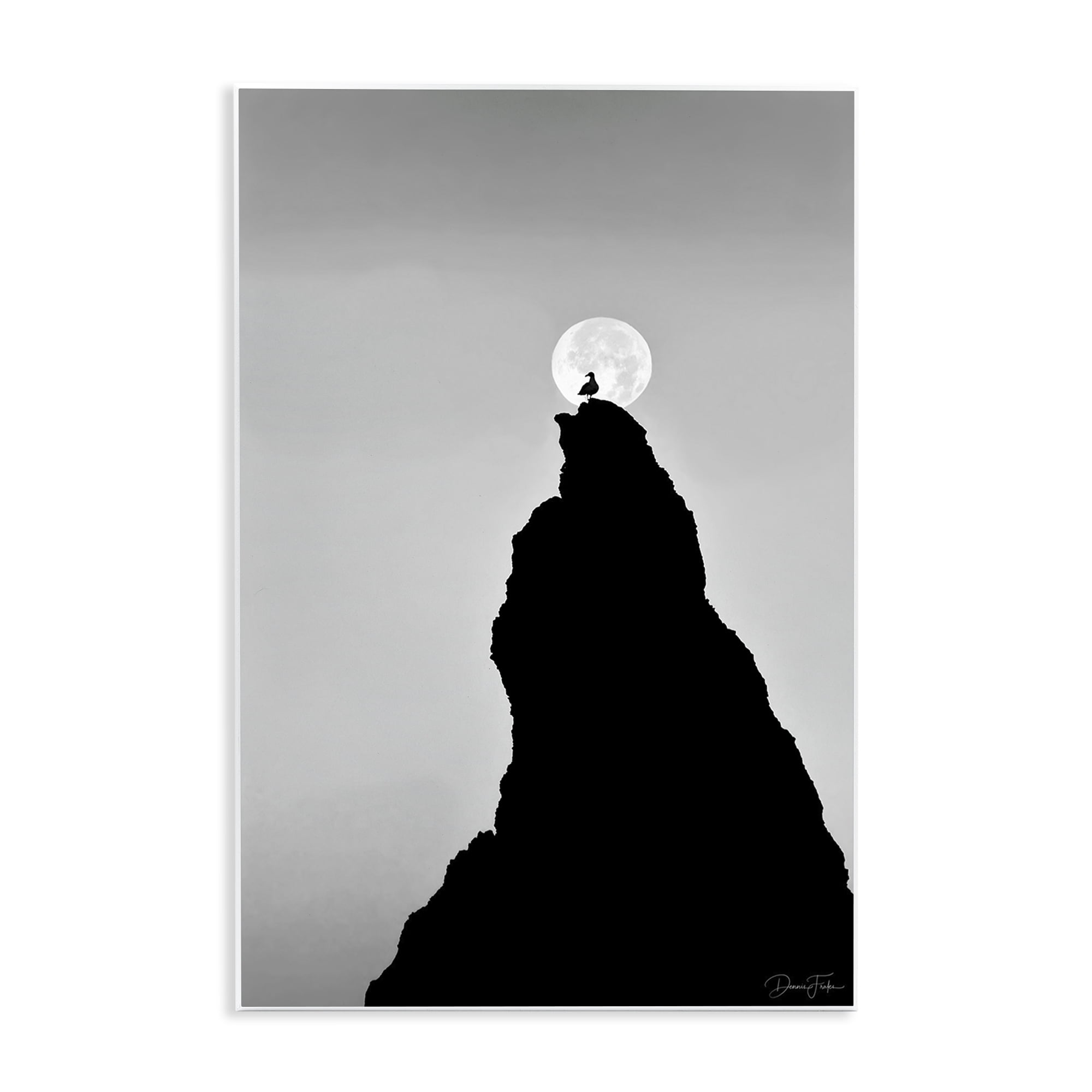Stupell Industries Bird Silhouette on Peak Landscape Photography Unframed Art Print Wall Art, 13 x 19