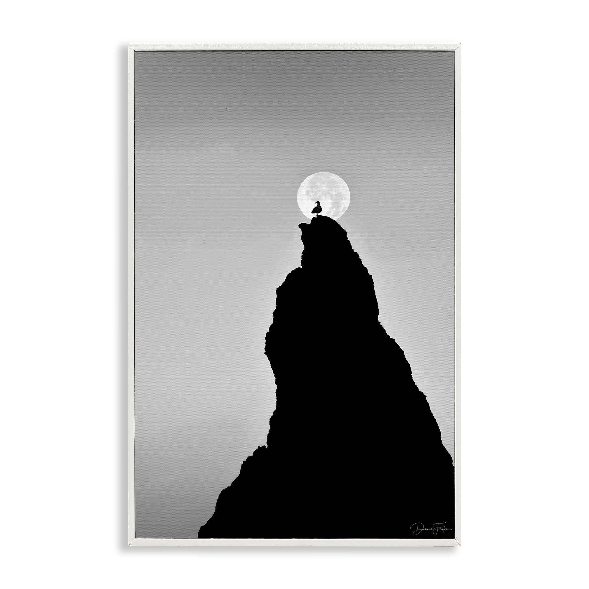 Stupell Industries Bird Silhouette on Peak Landscape Photography White Framed Art Print Wall Art, 20 x 30