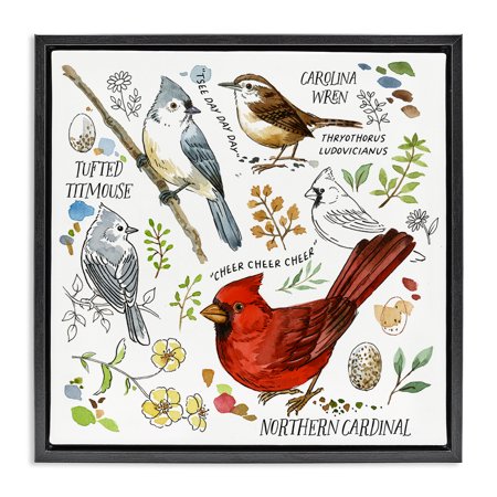 Stupell Industries Bird Watching Chart Animals Painting Black Floater Framed Canvas Art Print Wall Art, 18 x 18