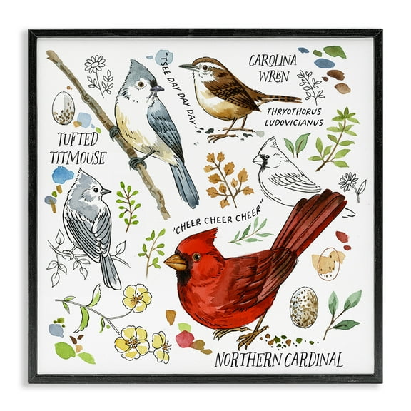 Stupell Industries Bird Watching Chart Animals Painting Black Framed Art Print Wall Art, 12 x 12