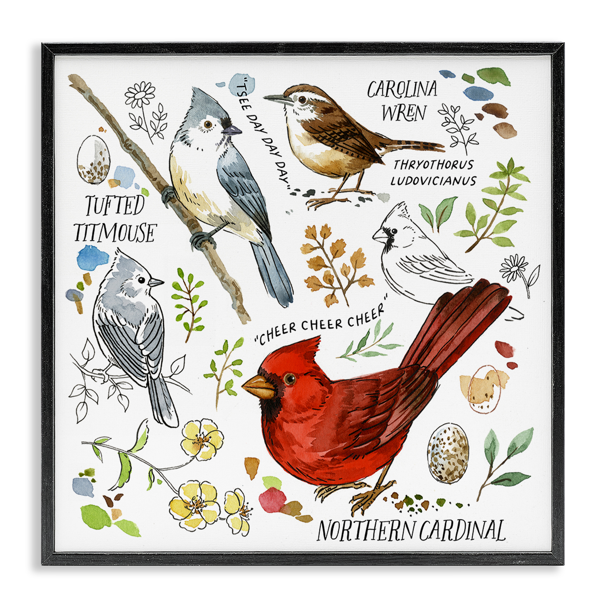 Stupell Industries Bird Watching Chart Animals Painting Black Framed Art Print Wall Art, 24 x 24