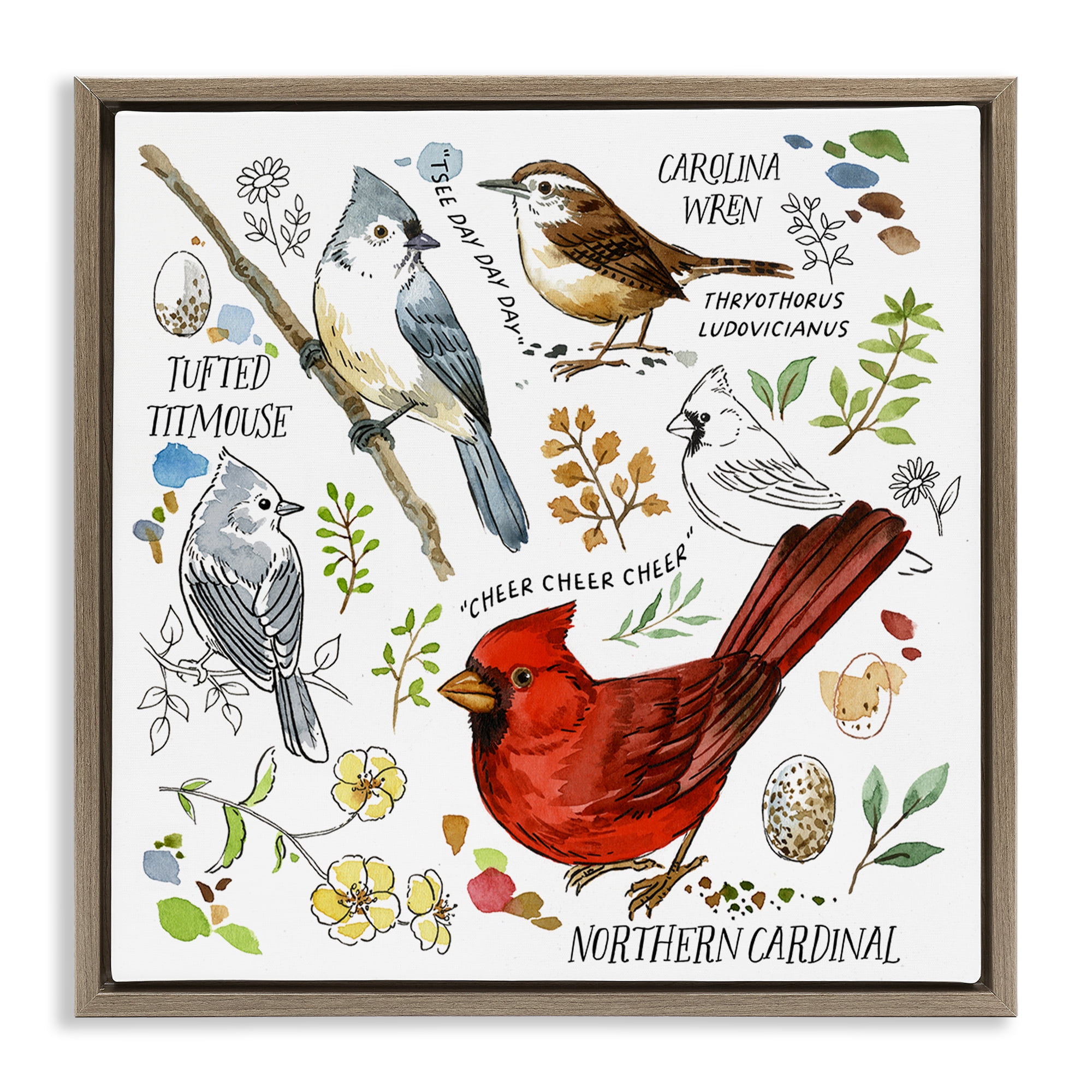 Stupell Industries Bird Watching Chart Animals Painting Brown Floater Framed Canvas Art Print Wall Art, 18 x 18