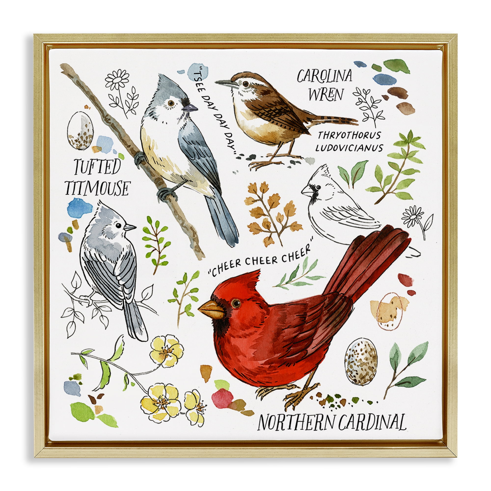 Stupell Industries Bird Watching Chart Animals Painting Gold Floater Framed Canvas Art Print Wall Art, 25 x 25