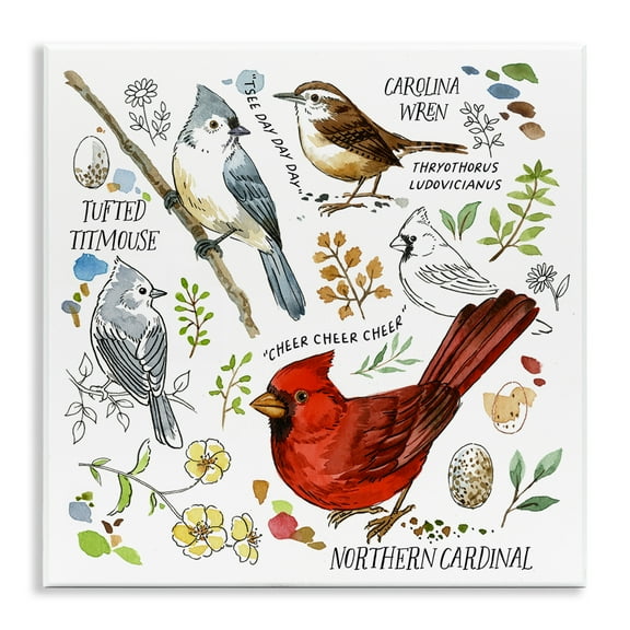 Stupell Industries Bird Watching Chart Animals Painting Unframed Art Print Wall Art, 12 x 12