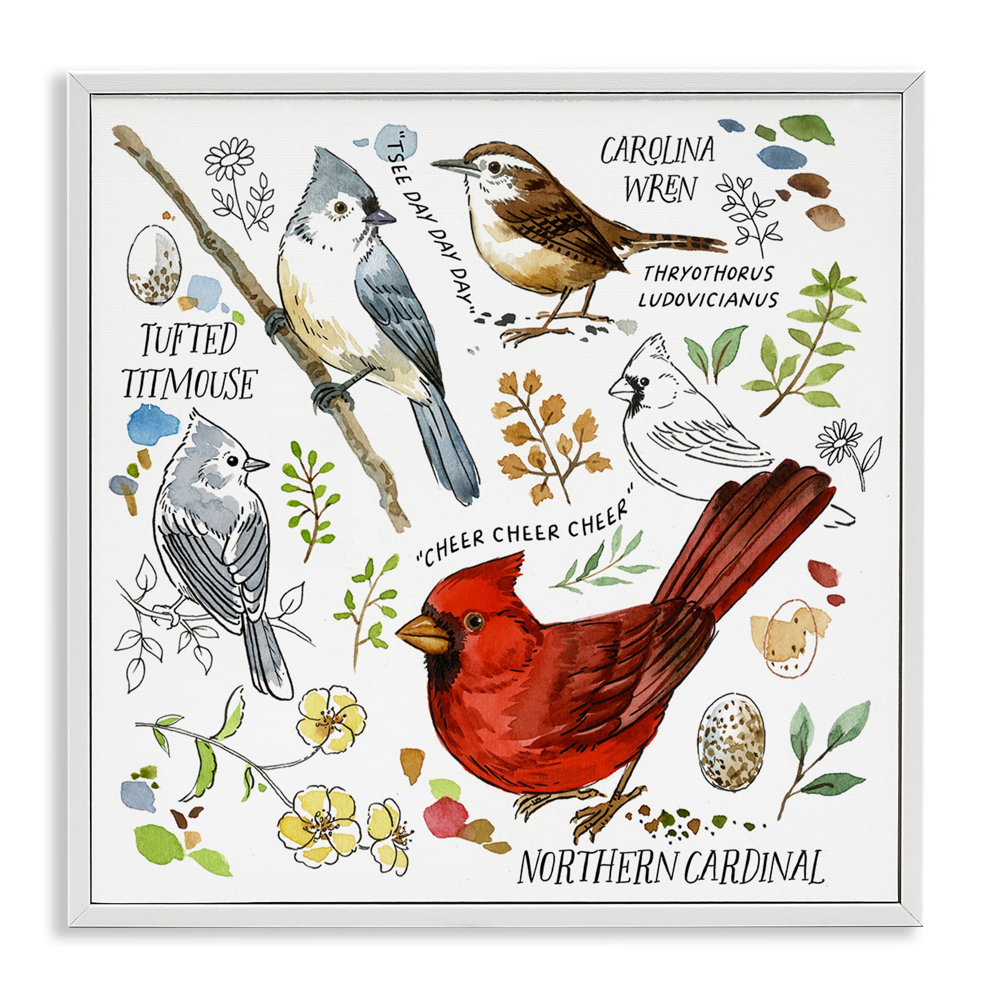 Stupell Industries Bird Watching Chart Animals Painting White Framed Art Print Wall Art, 24 x 24