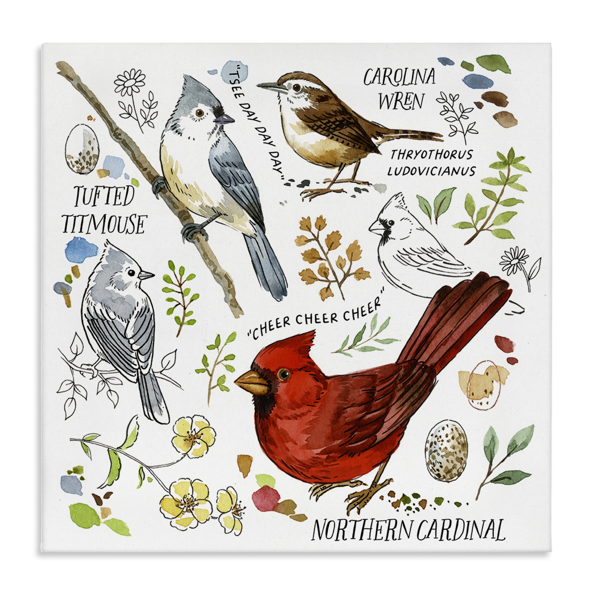 Stupell Industries Bird Watching Chart Animals Painting Wrapped Canvas Art Print Wall Art, 17 x 17