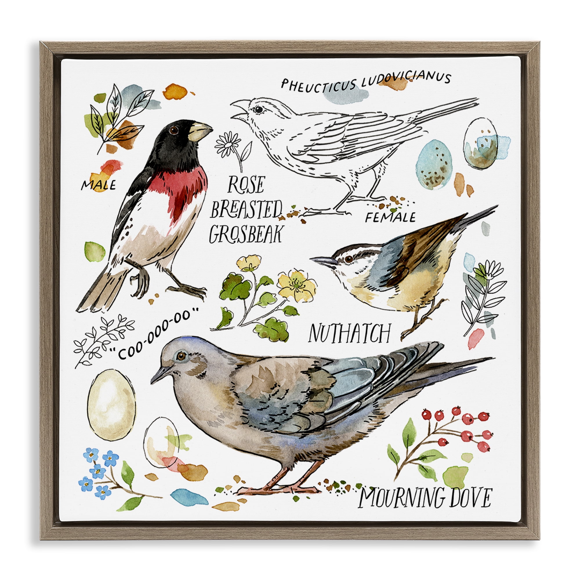 Stupell Industries Bird Watching Diagram Animals Painting Brown Floater Framed Canvas Art Print Wall Art, 18 x 18