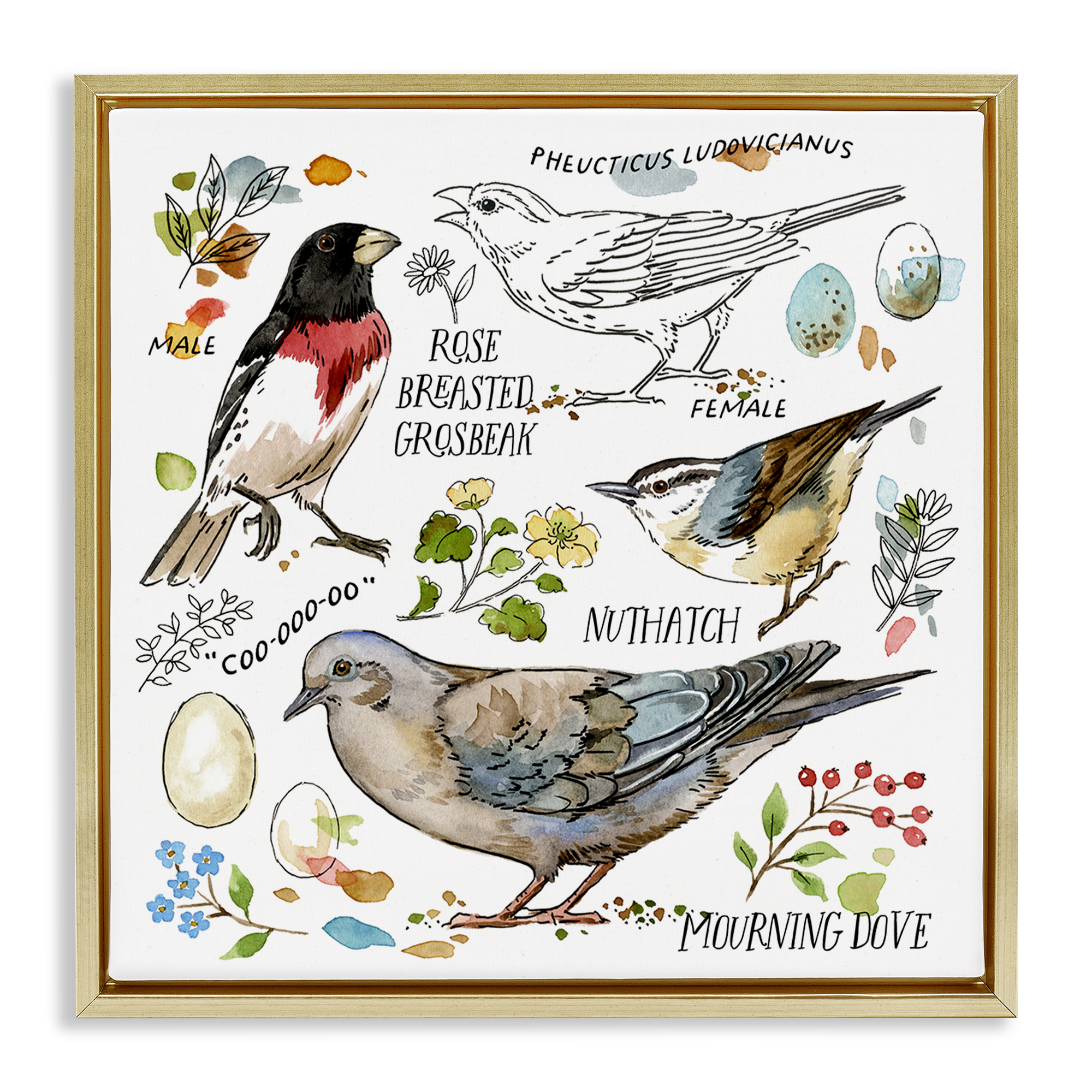 Stupell Industries Bird Watching Diagram Animals Painting Gold Floater Framed Canvas Art Print Wall Art, 25 x 25