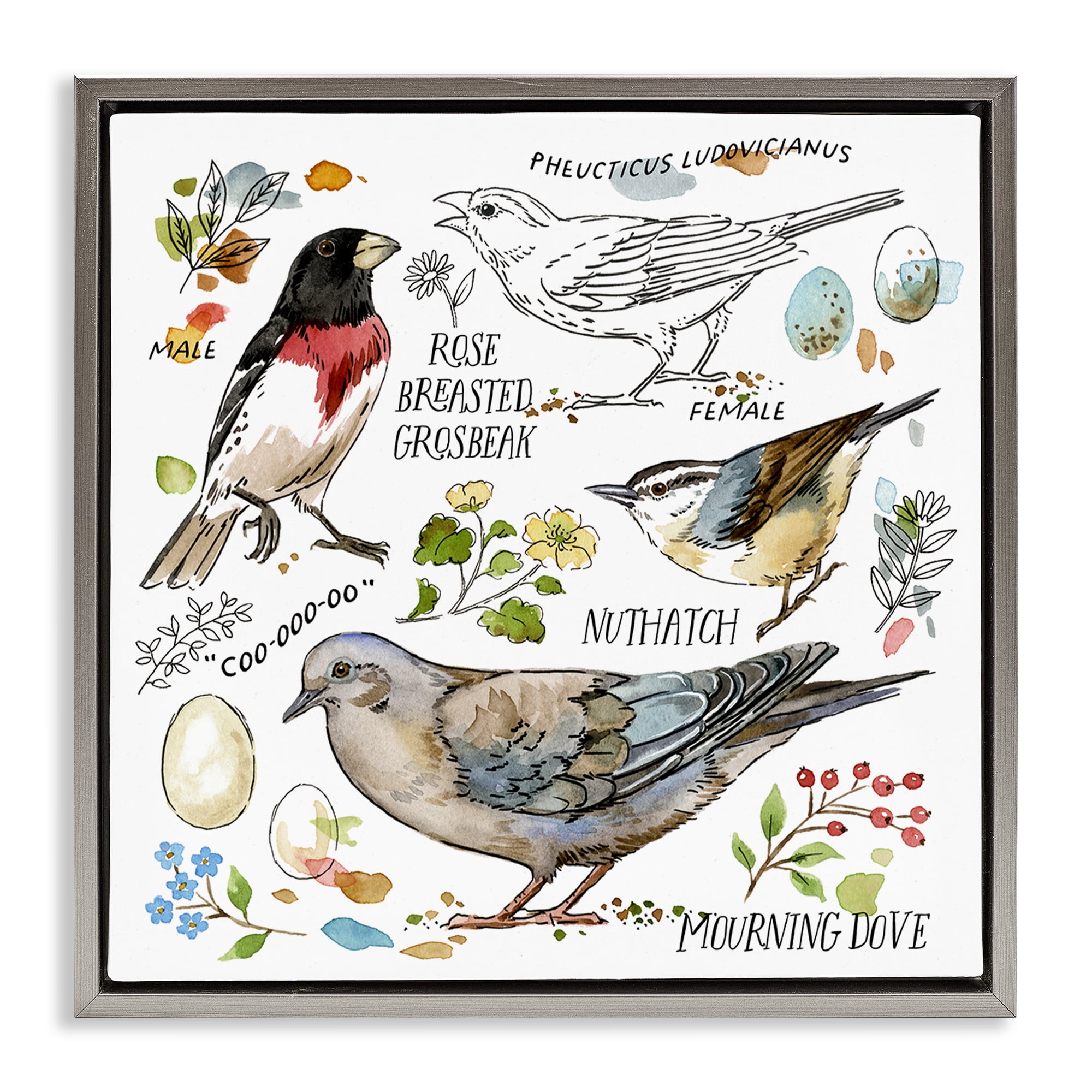 Stupell Industries Bird Watching Diagram Animals Painting Gray Floater Framed Canvas Art Print Wall Art, 25 x 25