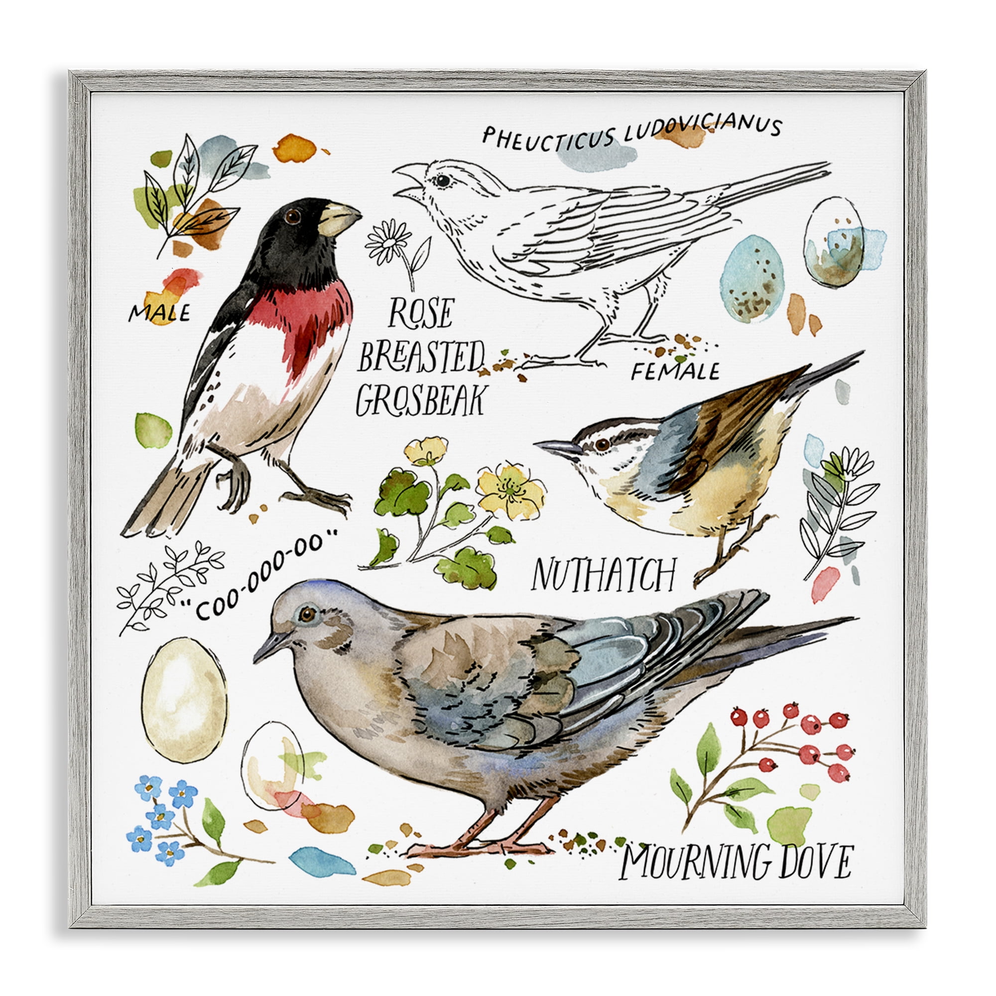 Stupell Industries Bird Watching Diagram Animals Painting Gray Framed Art Print Wall Art, 17 x 17