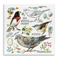 Stupell Industries Bird Watching Diagram Animals Painting Unframed Art Print Wall Art, 12 x 12