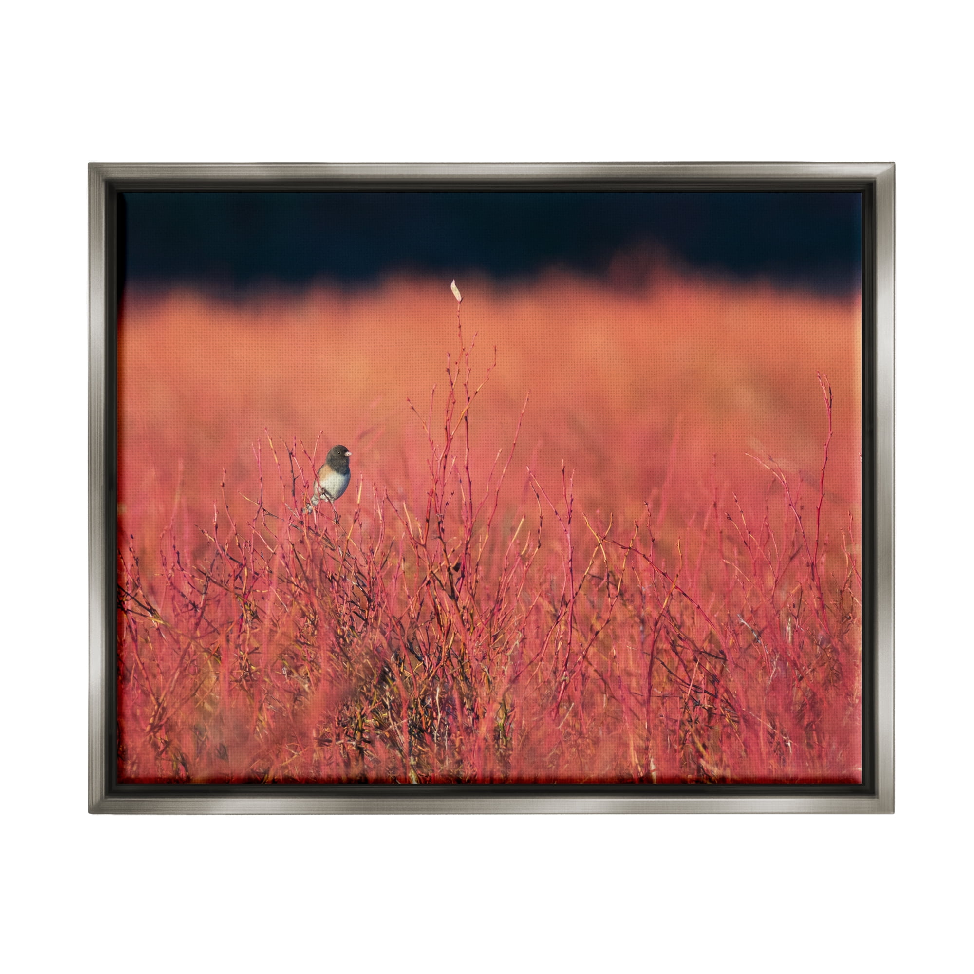 Stupell Industries Bird in Red Field Nature Photography Gray Floater Framed Art Print Wall Art, 31 x 25