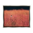 thumbnail image 1 of Stupell Industries Bird in Red Field Nature Photography Gray Floater Framed Art Print Wall Art, 31 x 25, 1 of 9
