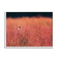 thumbnail image 1 of Stupell Industries Bird in Red Field Nature Photography White Framed Art Print Wall Art, 14 x 11, 1 of 8