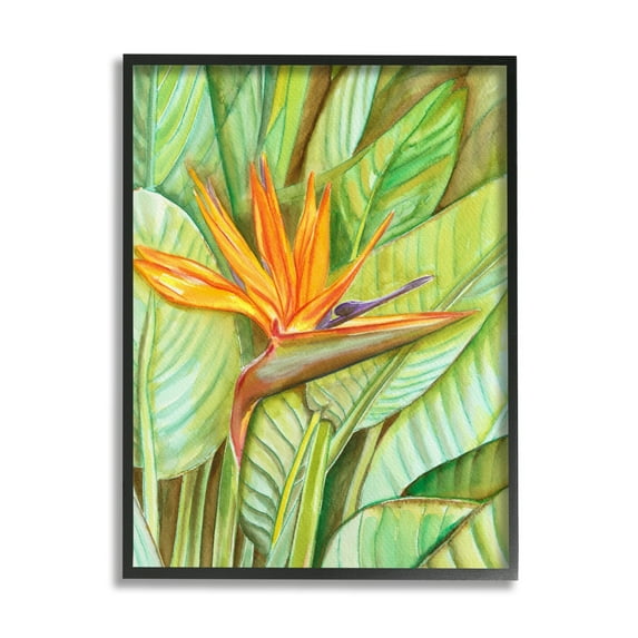 Stupell Industries Bird of Paradise Flower Leaf Petals Blooming Painting Black Framed Art Print Wall Art, Design by Elvira Errico