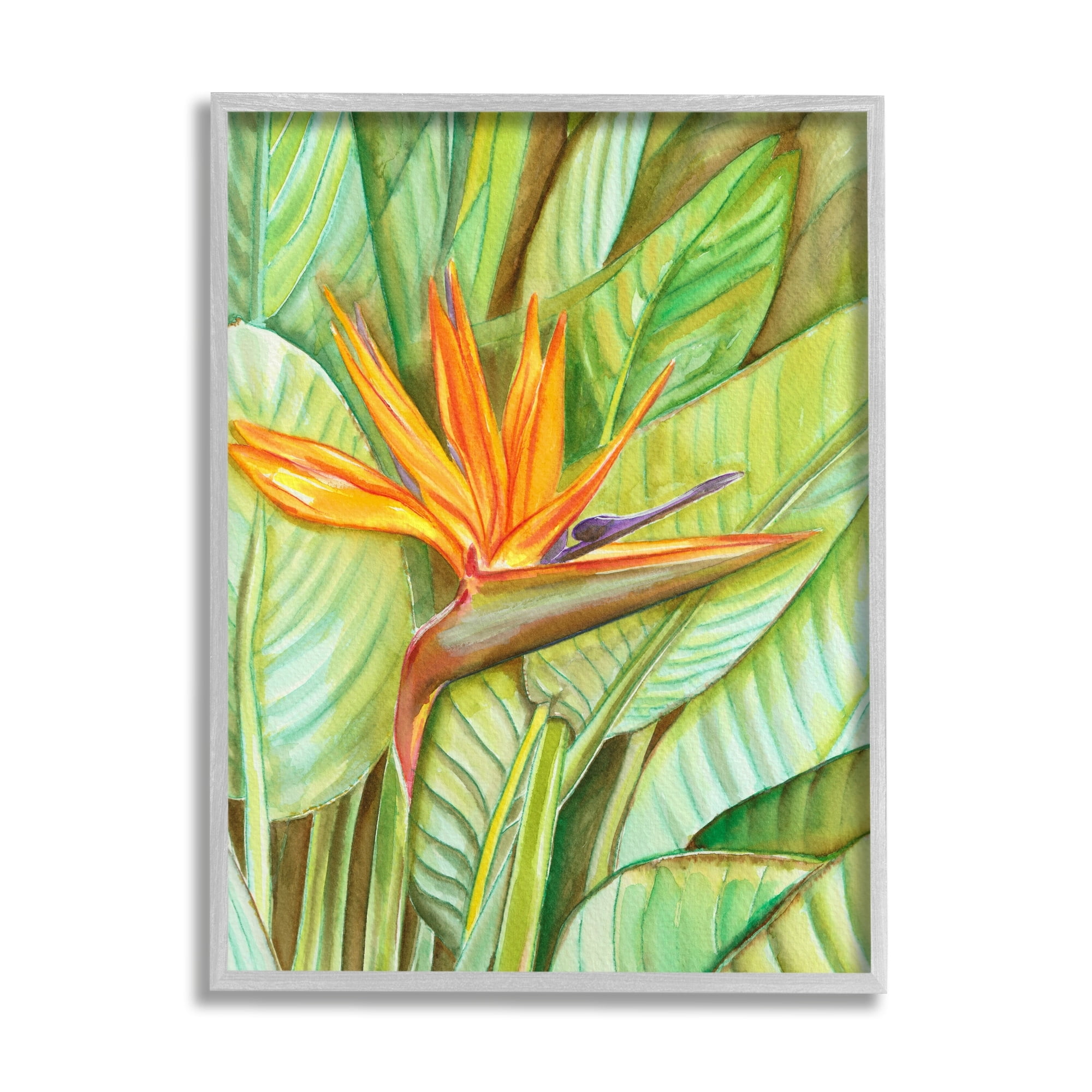 Stupell Industries Bird of Paradise Flower Leaf Petals Blooming Painting Gray Framed Art Print Wall Art, Design by Elvira Errico