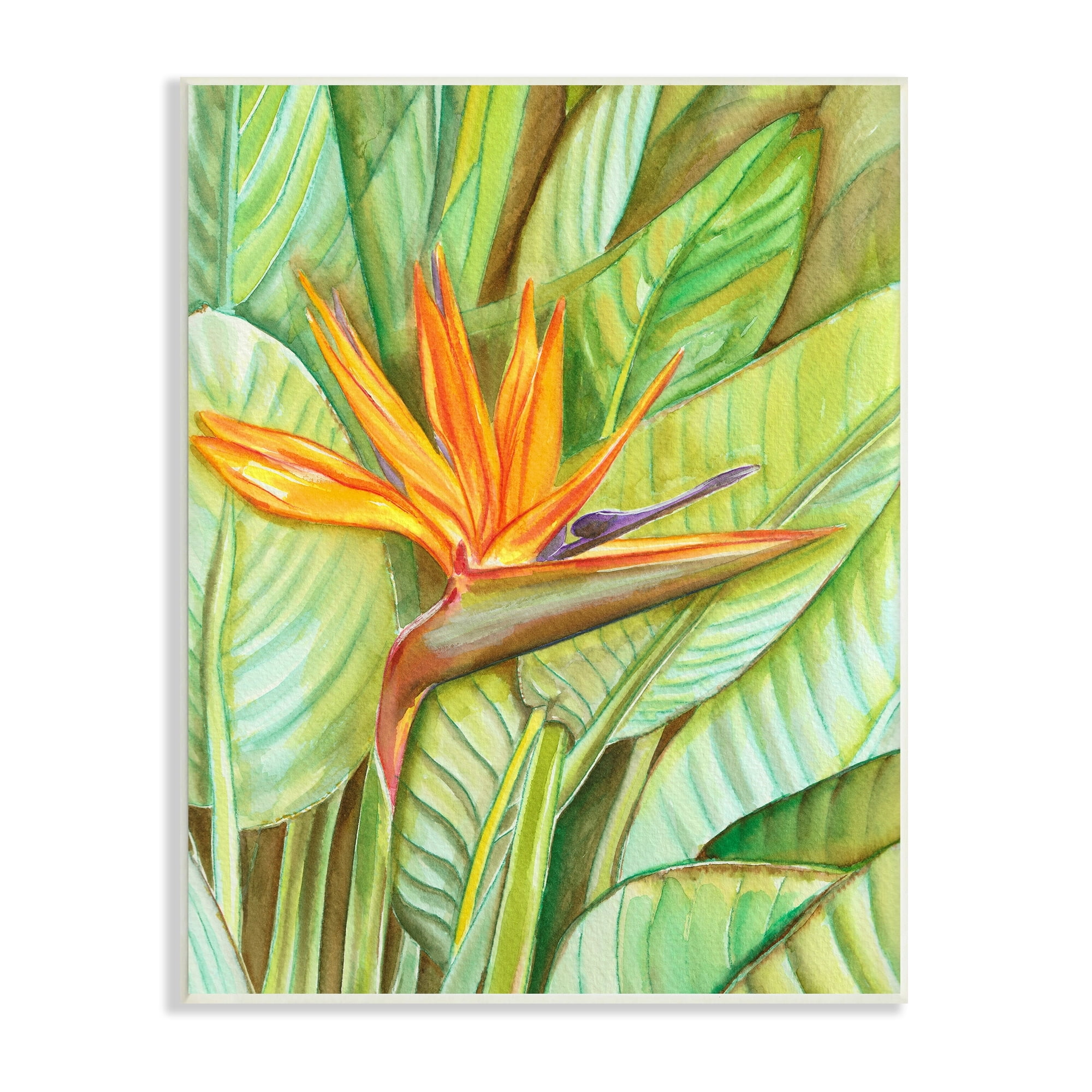 Stupell-Industries-Bird-of-