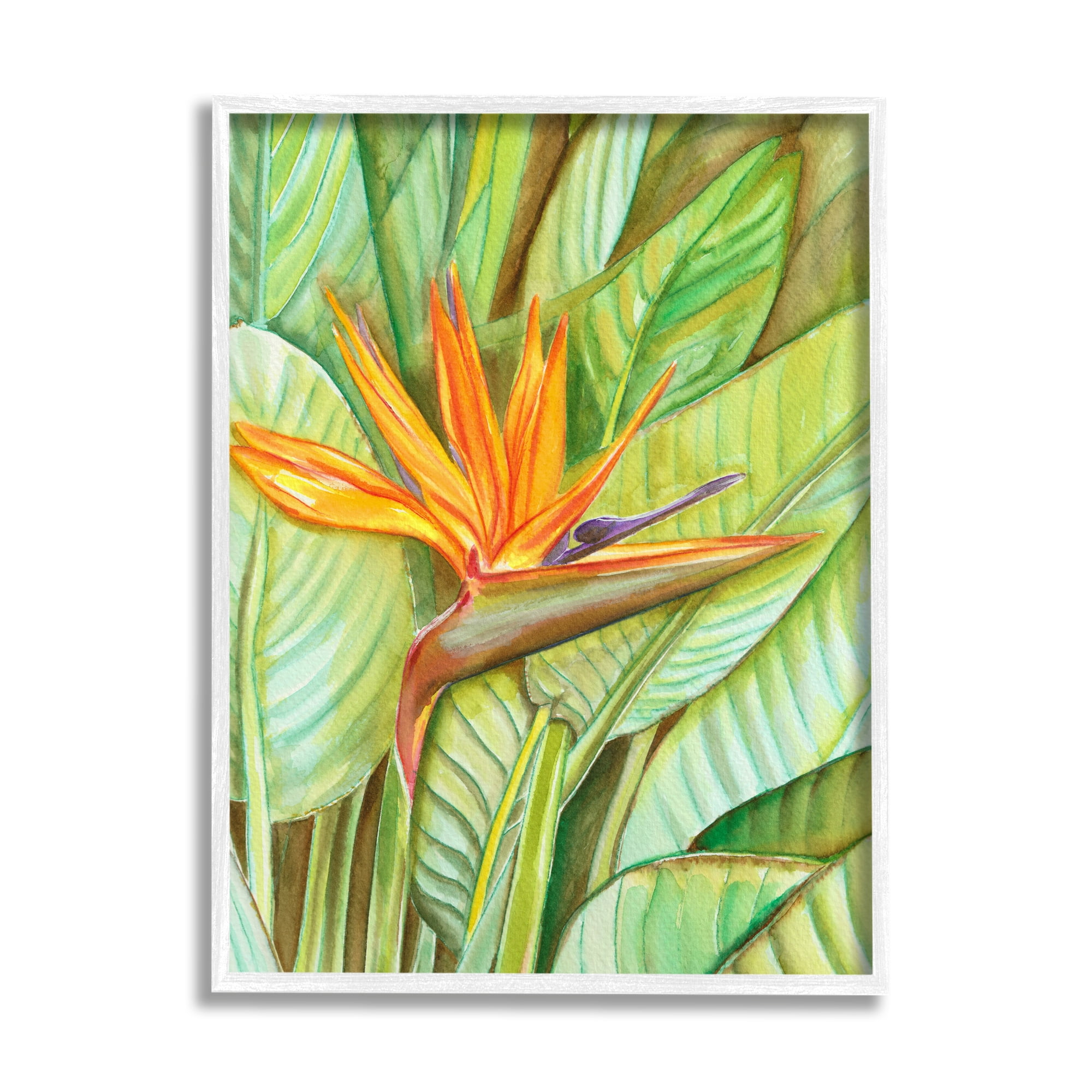 Stupell Industries Bird of Paradise Flower Leaf Petals Blooming Painting White Framed Art Print Wall Art, Design by Elvira Errico