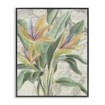 Stupell Industries Bird of Paradise over Map Floral Painting Black Framed Art Print Wall Art, 11 x 14