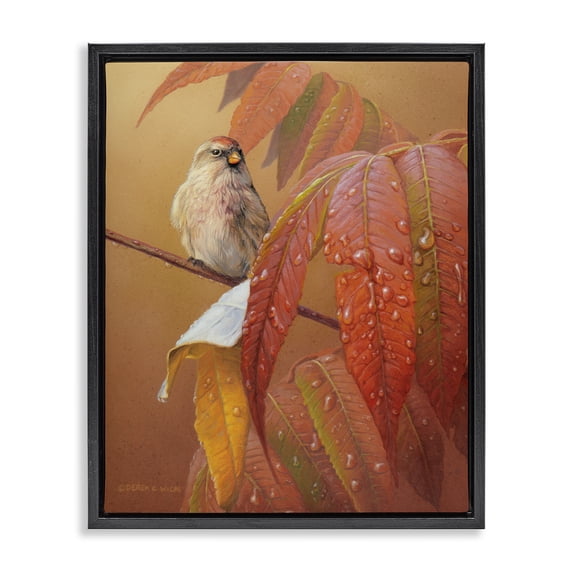 Stupell Industries Transitional Bird on Autumnal Branch Black Floating Frame Canvas Art, 25 x 31, by Derek Wicks