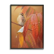 Stupell Industries Bird on Autumnal Branch Animals & Insects Painting Black Framed Art Print Wall Art, 11 x 14