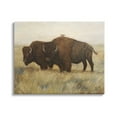 thumbnail image 1 of Stupell Industries Bird on Bison Rural Scene Animals & Insects Painting Gallery Wrapped Canvas Print Wall Art, 1 of 7