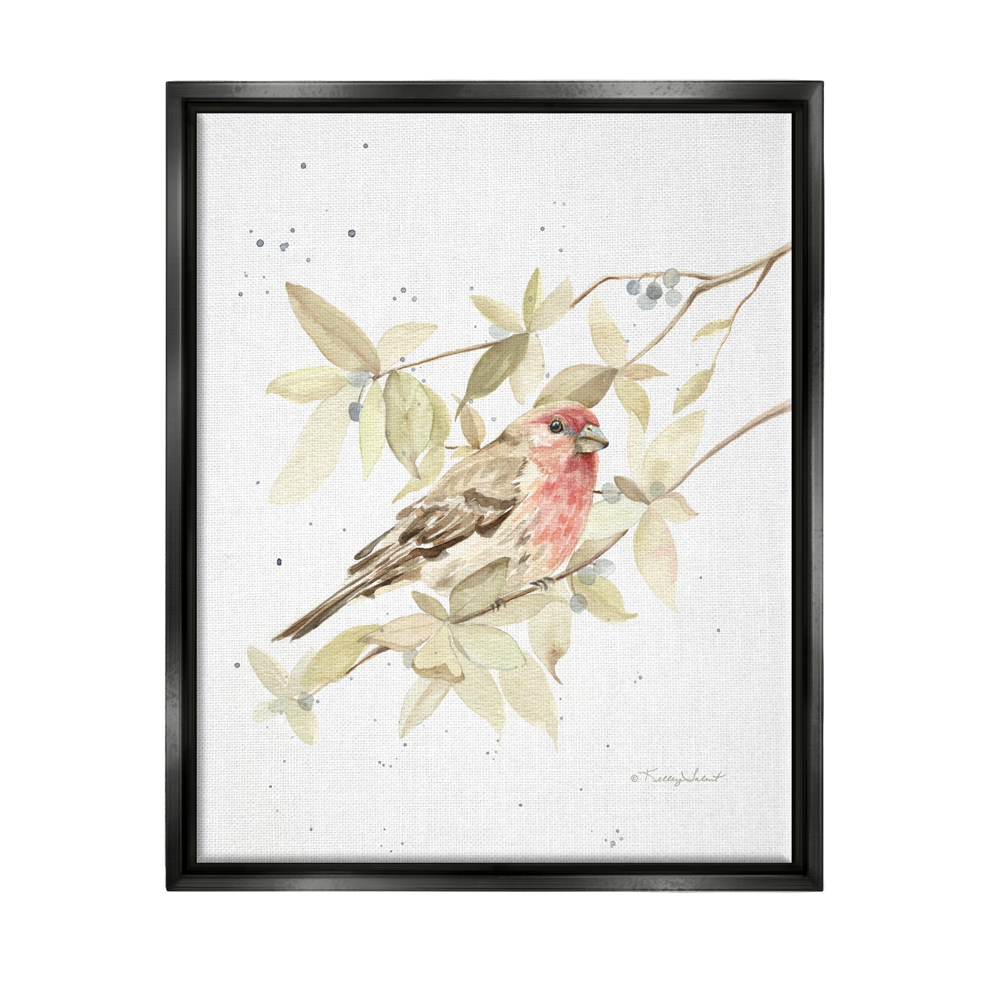 Stupell Industries Bird on Branch Watercolor Animals & Insects Painting Black Floater Framed Art Print Wall Art, 17 x 21