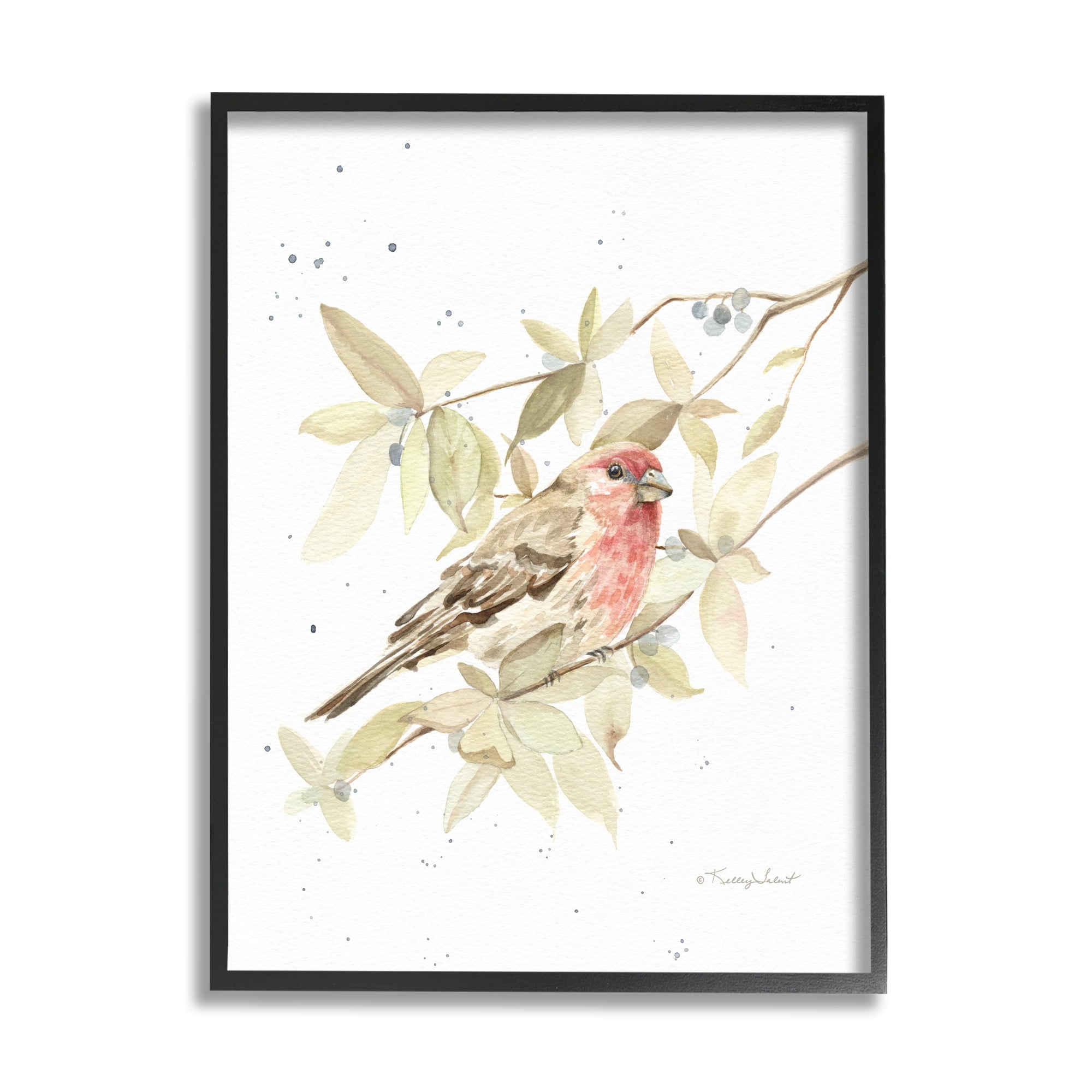 Stupell Industries Bird on Branch Watercolor Animals & Insects Painting Black Framed Art Print Wall Art, 11 x 14