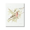 thumbnail image 1 of Stupell Industries Bird on Branch Watercolor Animals & Insects Painting Gallery Wrapped Canvas Print Wall Art, 16 x 20, 1 of 7