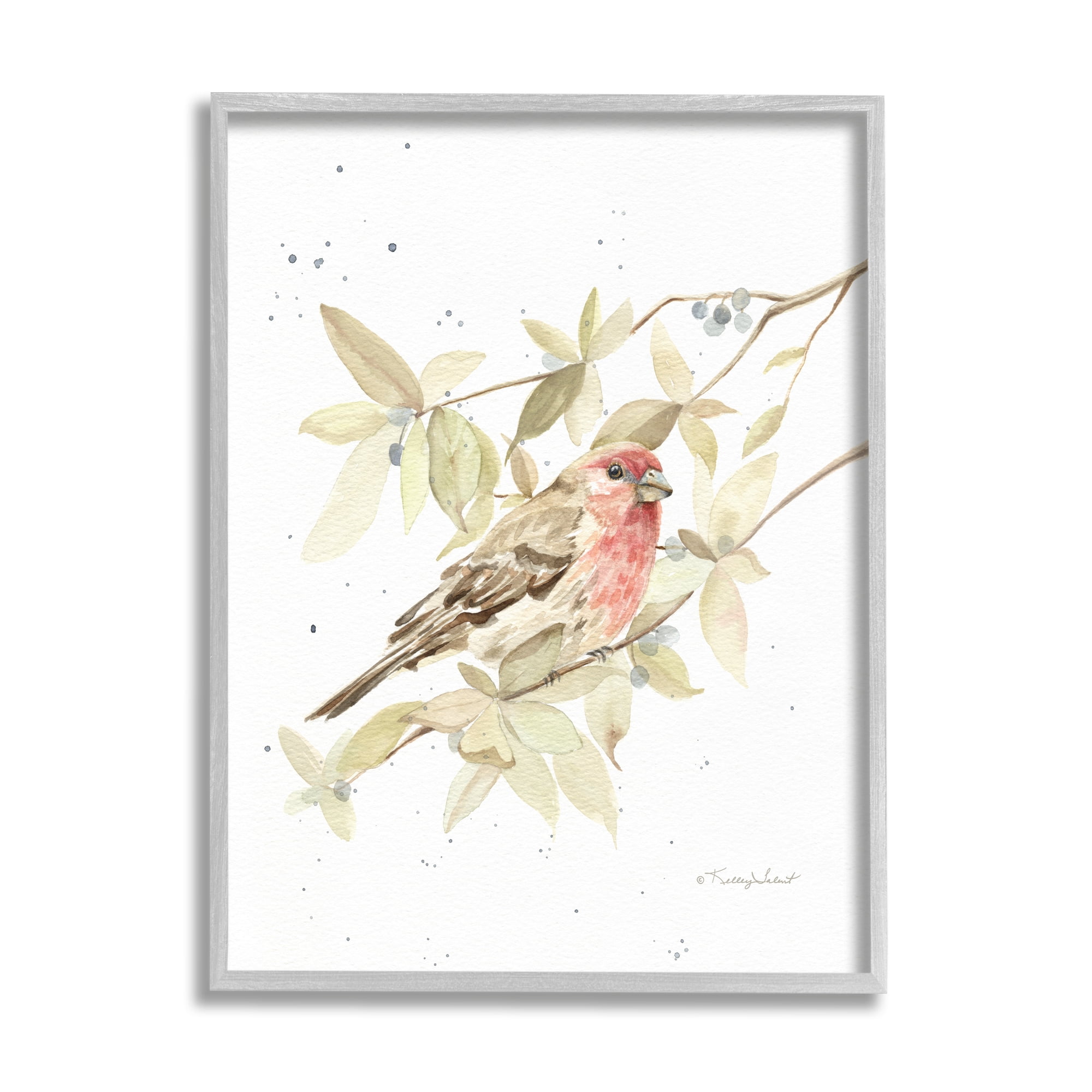 Stupell Industries Bird on Branch Watercolor Animals & Insects Painting Gray Framed Art Print Wall Art, 11 x 14
