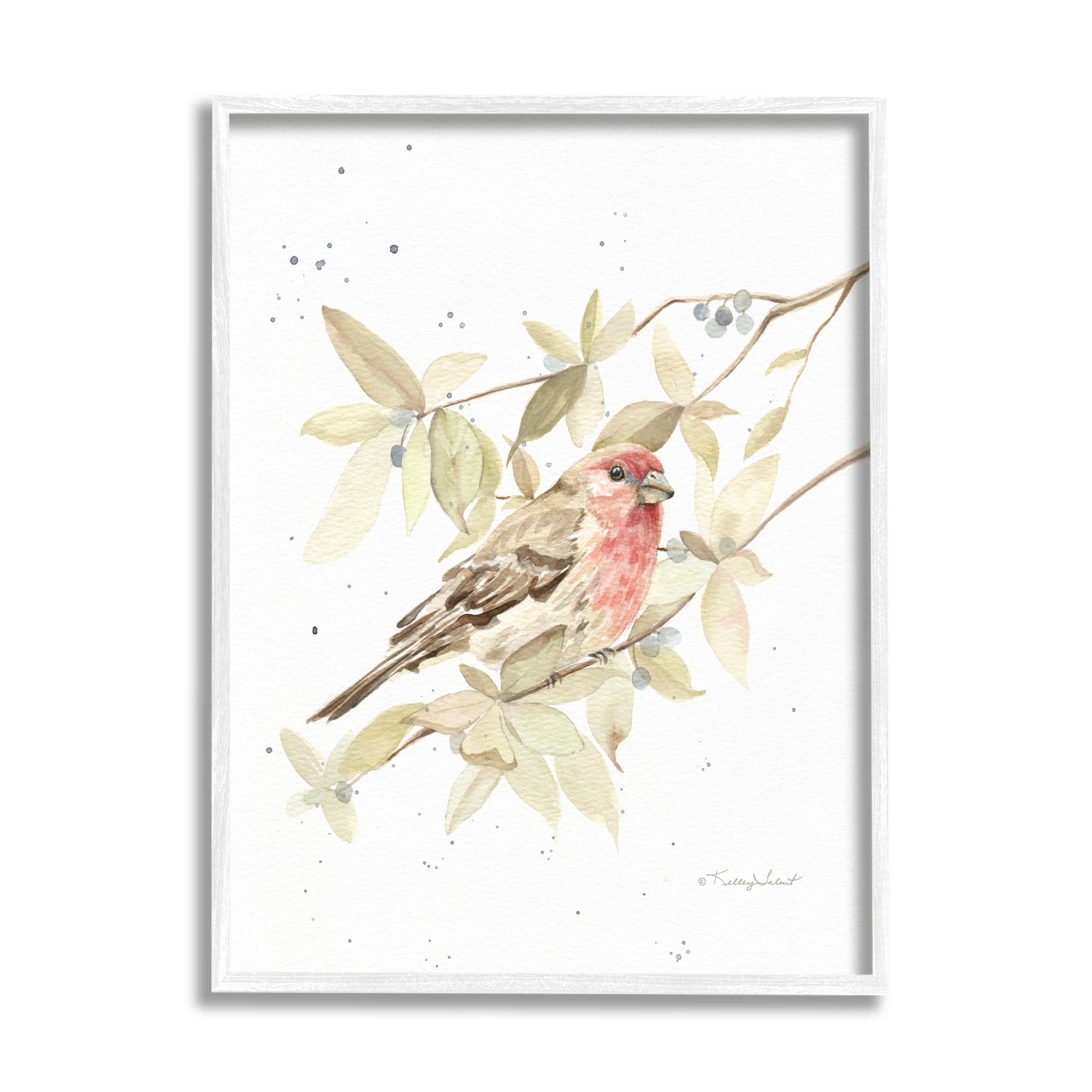 Stupell Industries Bird on Branch Watercolor Animals & Insects Painting White Framed Art Print Wall Art, 11 x 14