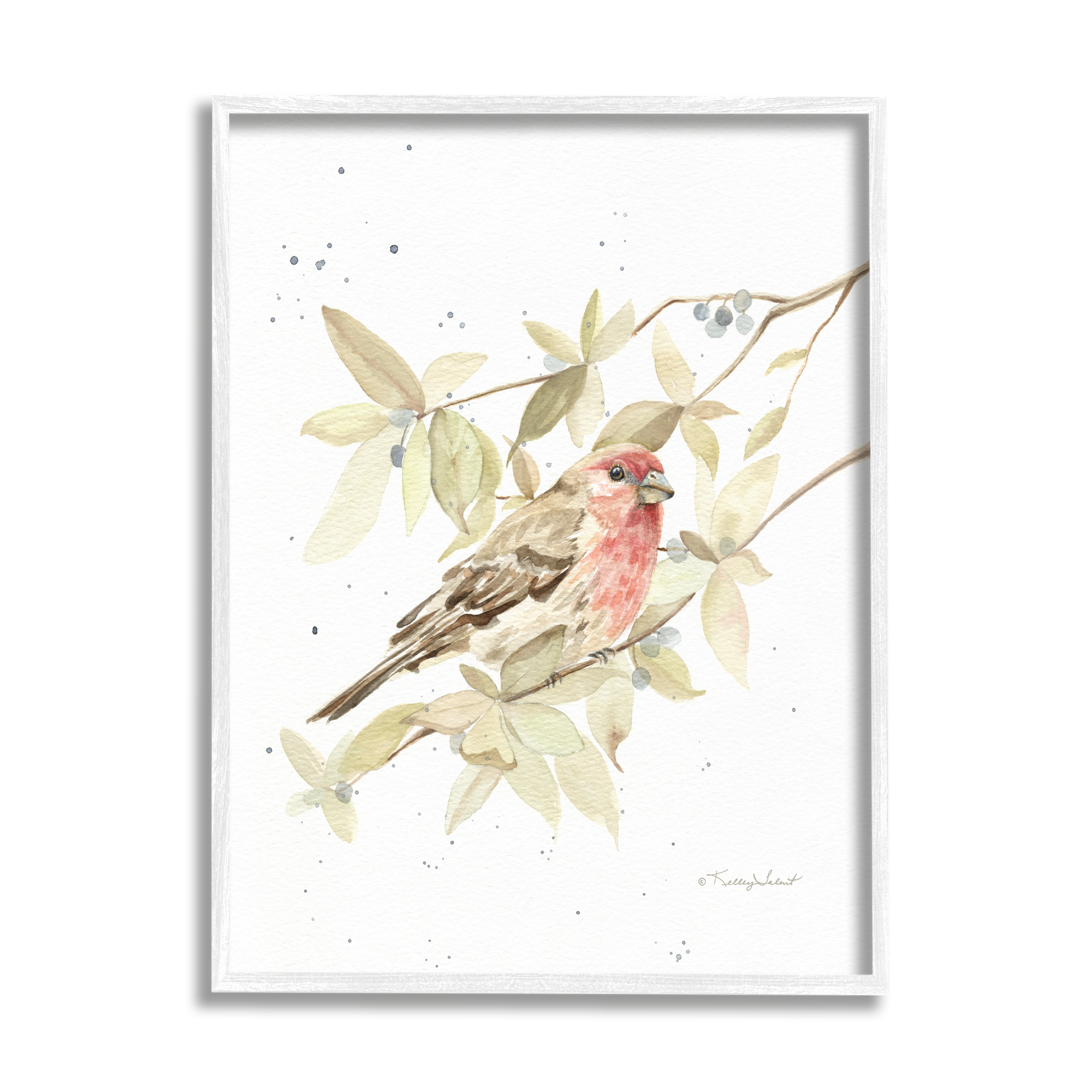 Stupell Industries Bird on Branch Watercolor Animals & Insects Painting White Framed Art Print Wall Art, 16 x 20