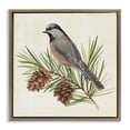 thumbnail image 1 of Stupell Industries Bird on Pine Tree Animals & Insects Painting Brown Floater Framed Canvas Art Print Wall Art, 18 x 18, 1 of 9
