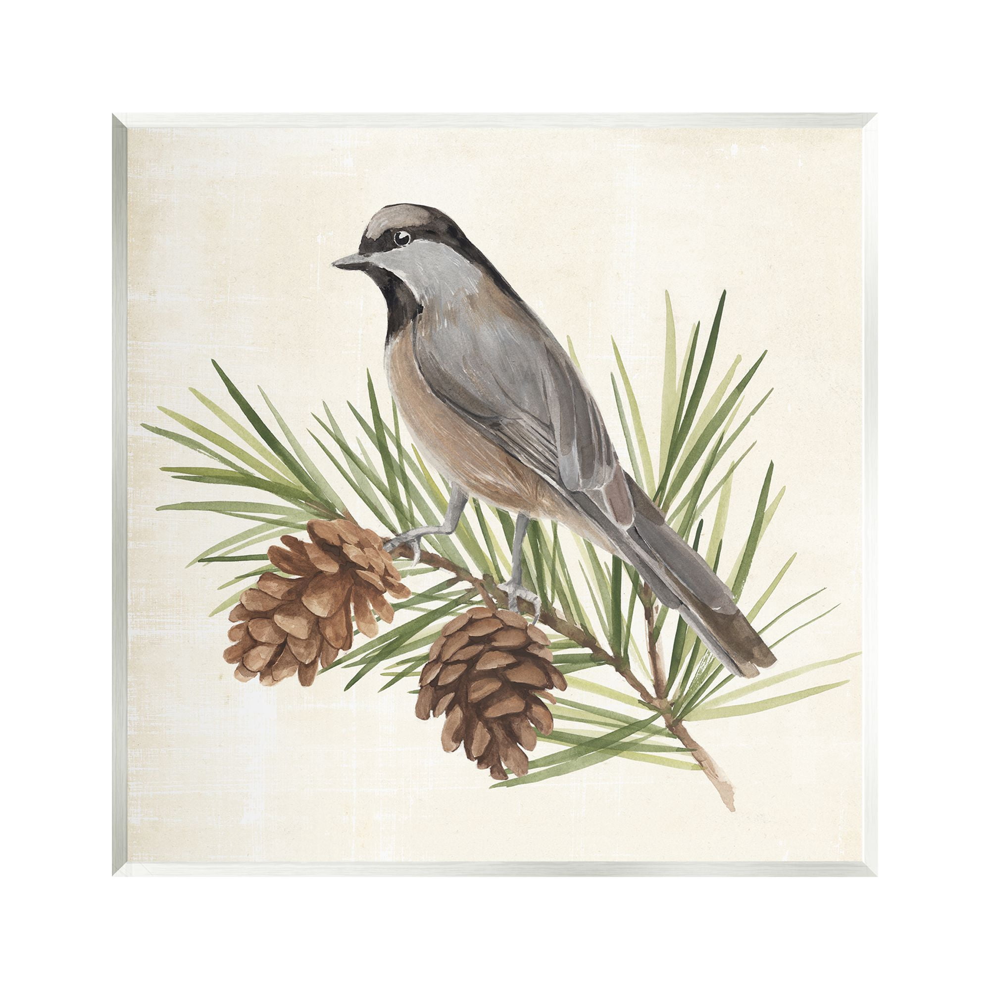 Stupell Industries Bird on Pine Tree Animals & Insects Painting Unframed Art Print Wall Art, 12 x 12